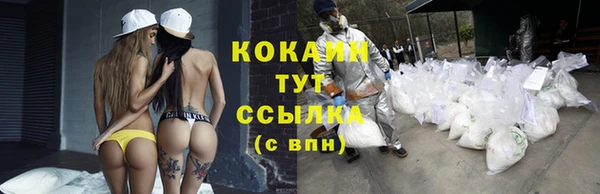 PSILOCYBIN Краснотурьинск