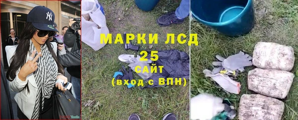 шишки Краснослободск
