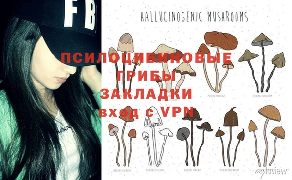 PSILOCYBIN Краснотурьинск