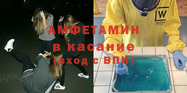 шишки Краснослободск