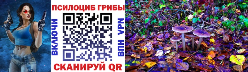 Галлюциногенные грибы Psilocybine cubensis  Кирово-Чепецк 