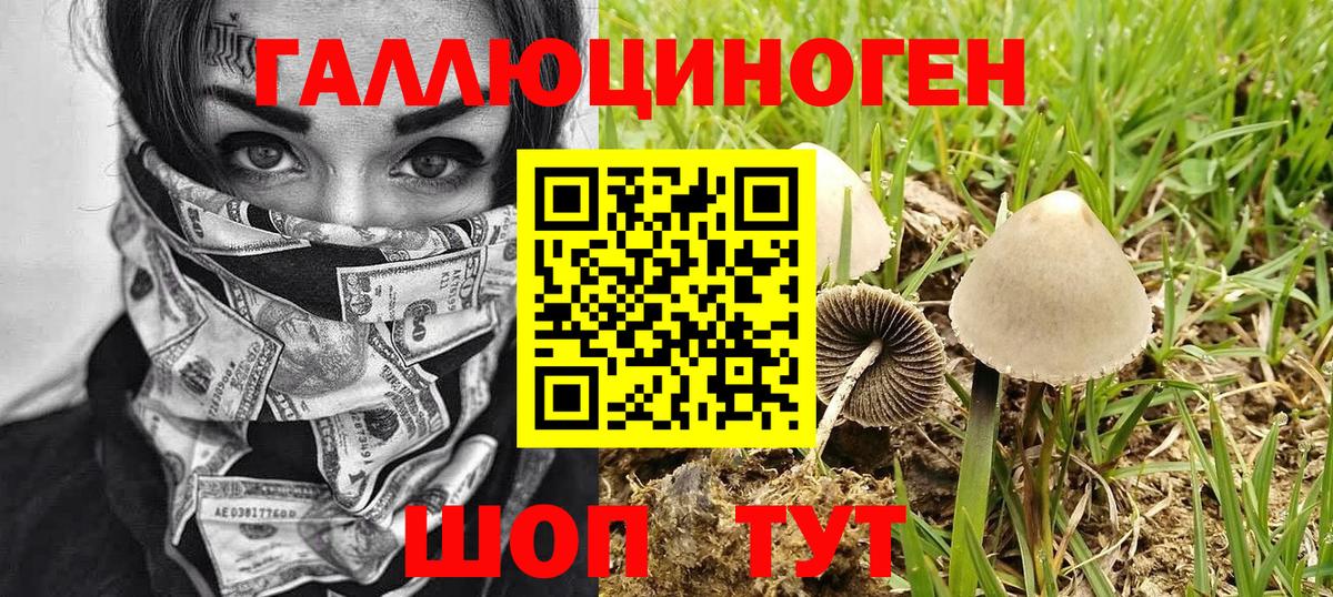 Псилоцибиновые грибы ЛСД Кирово-Чепецк